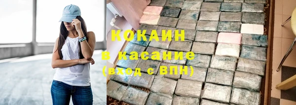 ECSTASY Алзамай