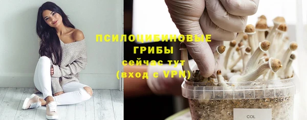 ECSTASY Абинск