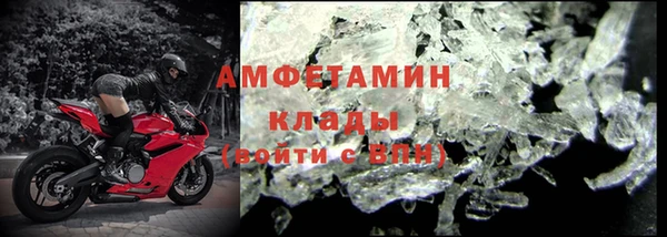 ECSTASY Алзамай