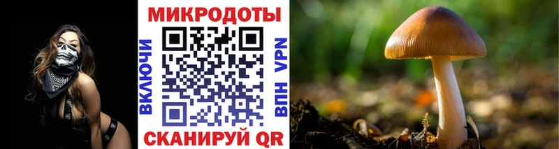 Галлюциногенные грибы мицелий  магазин    Гдов 
